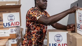 Article image: African Development