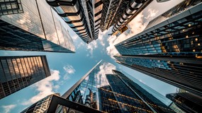 White Paper: [br]The Assets that Matter image