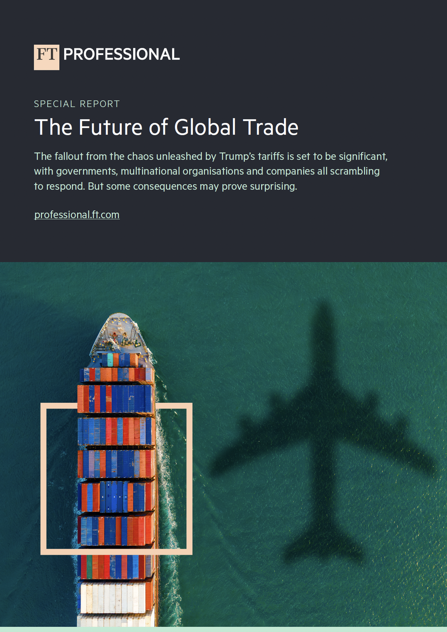 The World 2025 special report